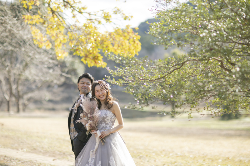 晴れ間に黄色の葉っぱが鮮やかに