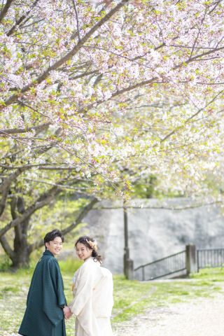 ワタベウェディング熊本フォトスタジオ_桜ロケ（熊本城・白川公園）