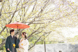 ワタベウェディング熊本フォトスタジオ_桜ロケ（熊本城・白川公園）