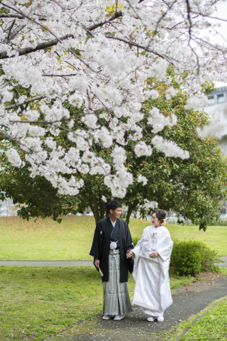 ワタベウェディング熊本フォトスタジオ_桜ロケ（熊本城・白川公園）