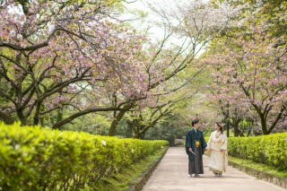 ワタベウェディング熊本フォトスタジオ_桜ロケ（熊本城・白川公園）