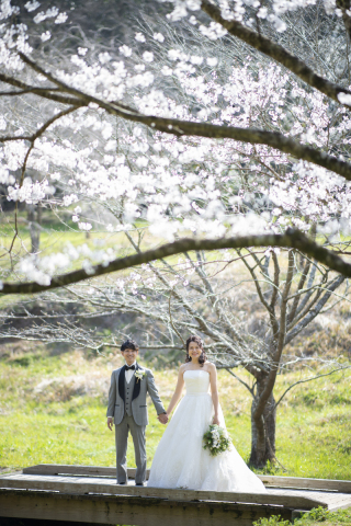 ワタベウェディング熊本フォトスタジオ_桜ロケ（熊本城・白川公園）