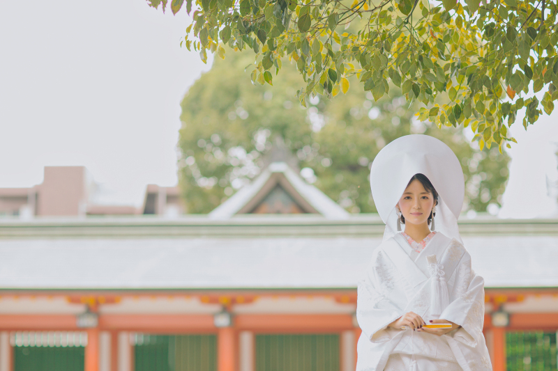 【藤崎八幡宮】データ付きロケプラン
