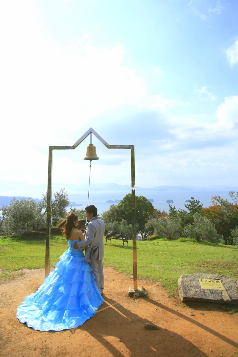 海の見えるオリーブ園