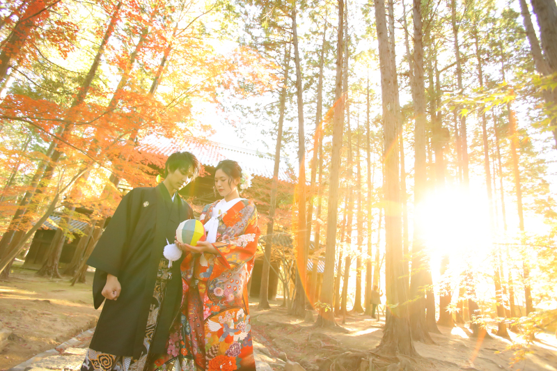 差し込む光が綺麗でした