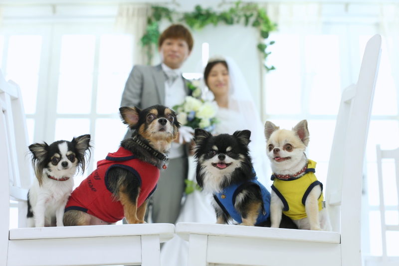 大切な家族と一緒に♪