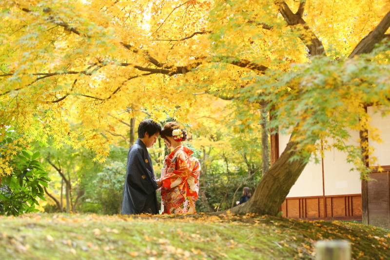 豊富な組み合わせ