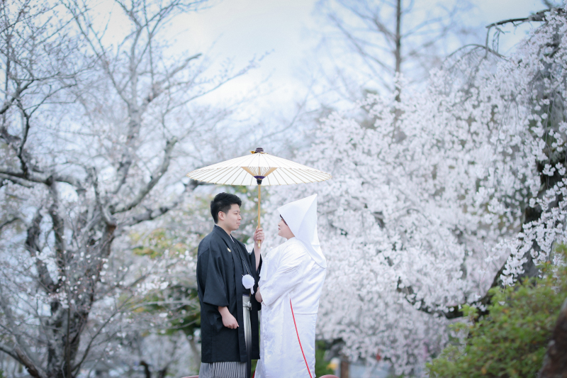 絵になる1枚です！！