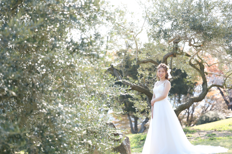 オリーブのグリーンと