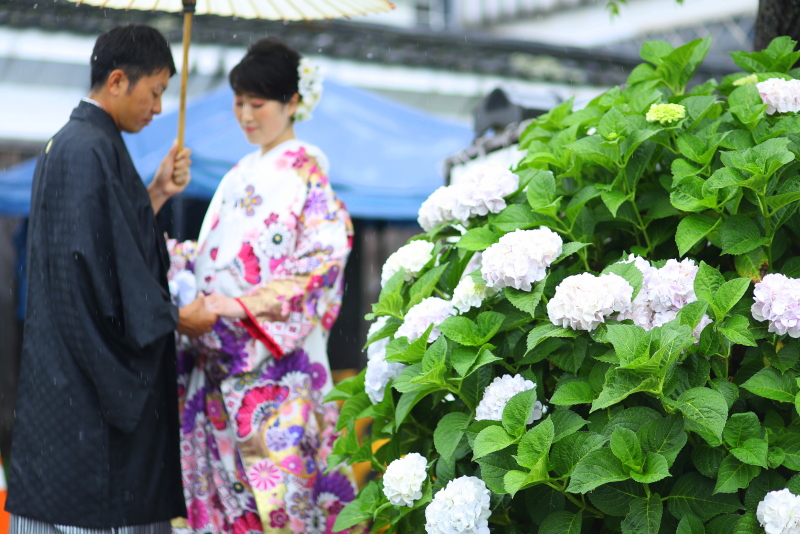 紫陽花と一緒に