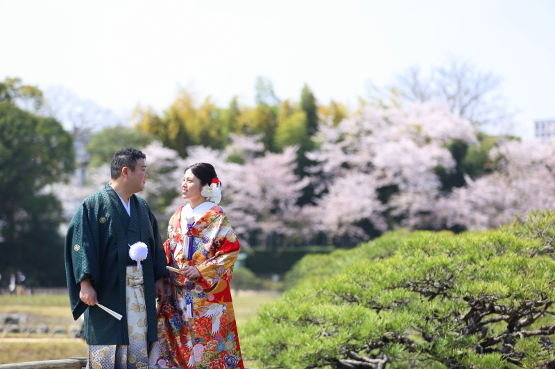 桜のピンクと松のミドリ