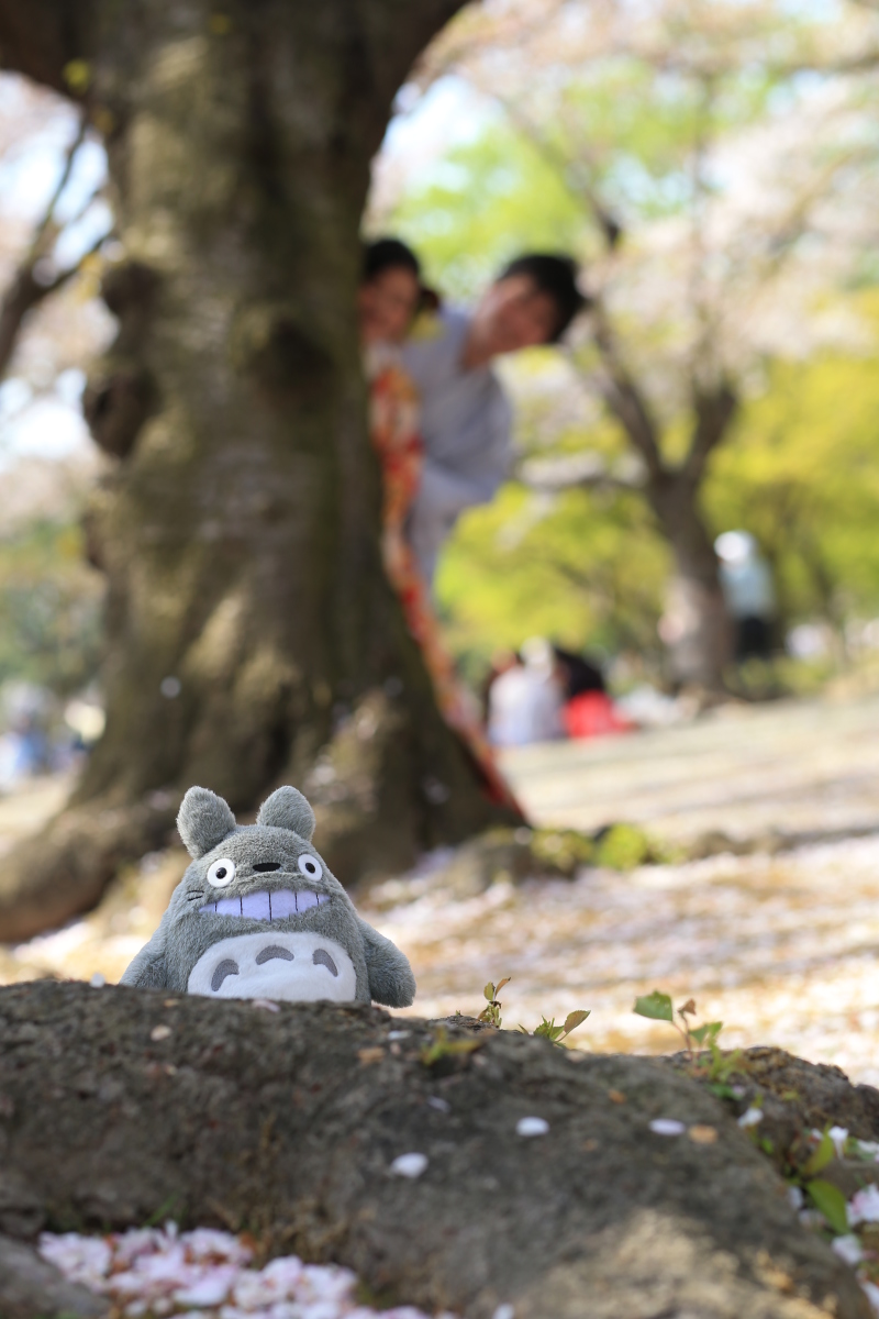 持ち込んだぬいぐるみを使って