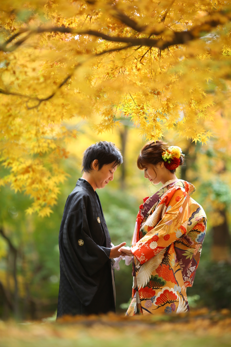 満足できる写真がたくさん!