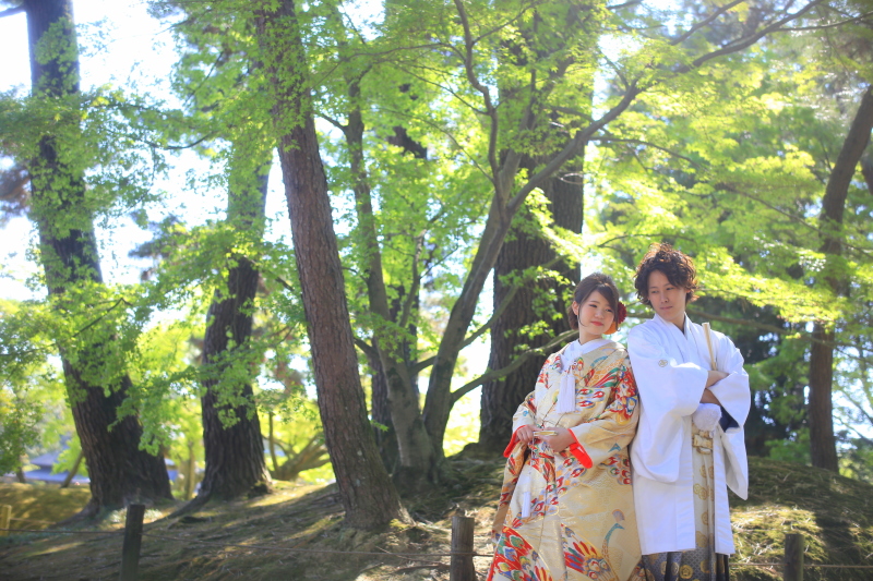 木漏れ日がきれい