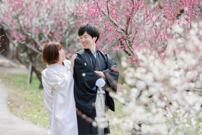 梅の花