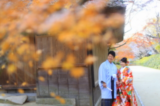 いい衣装があった