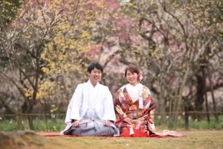 プランがよかった！