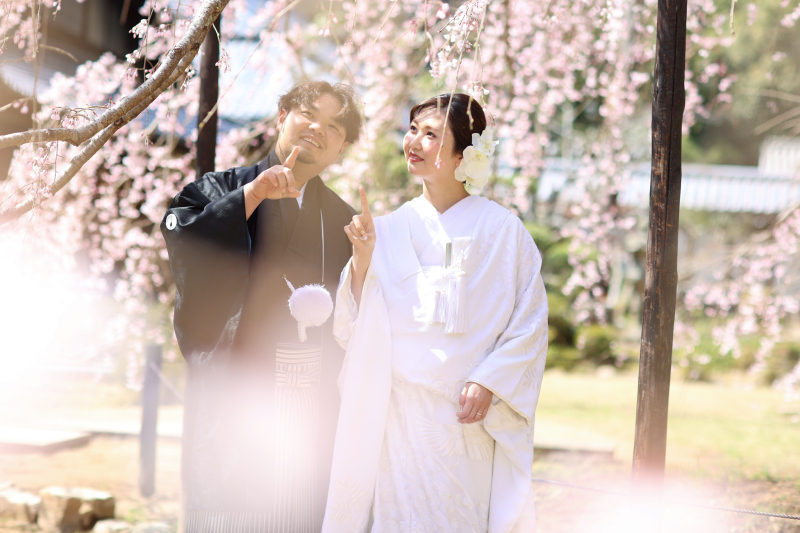 早咲きしだれ桜