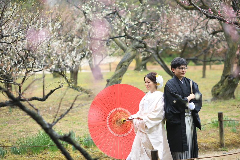 綺麗な仕上がりに惹かれて