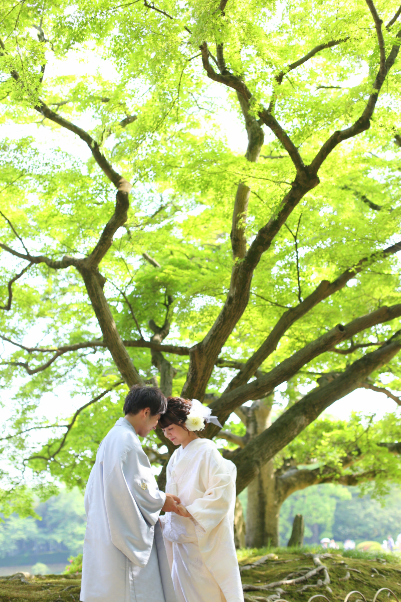 しっとりと新緑の中で☆