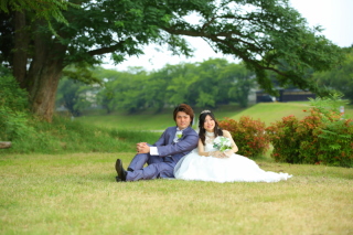 ドレスの種類が豊富