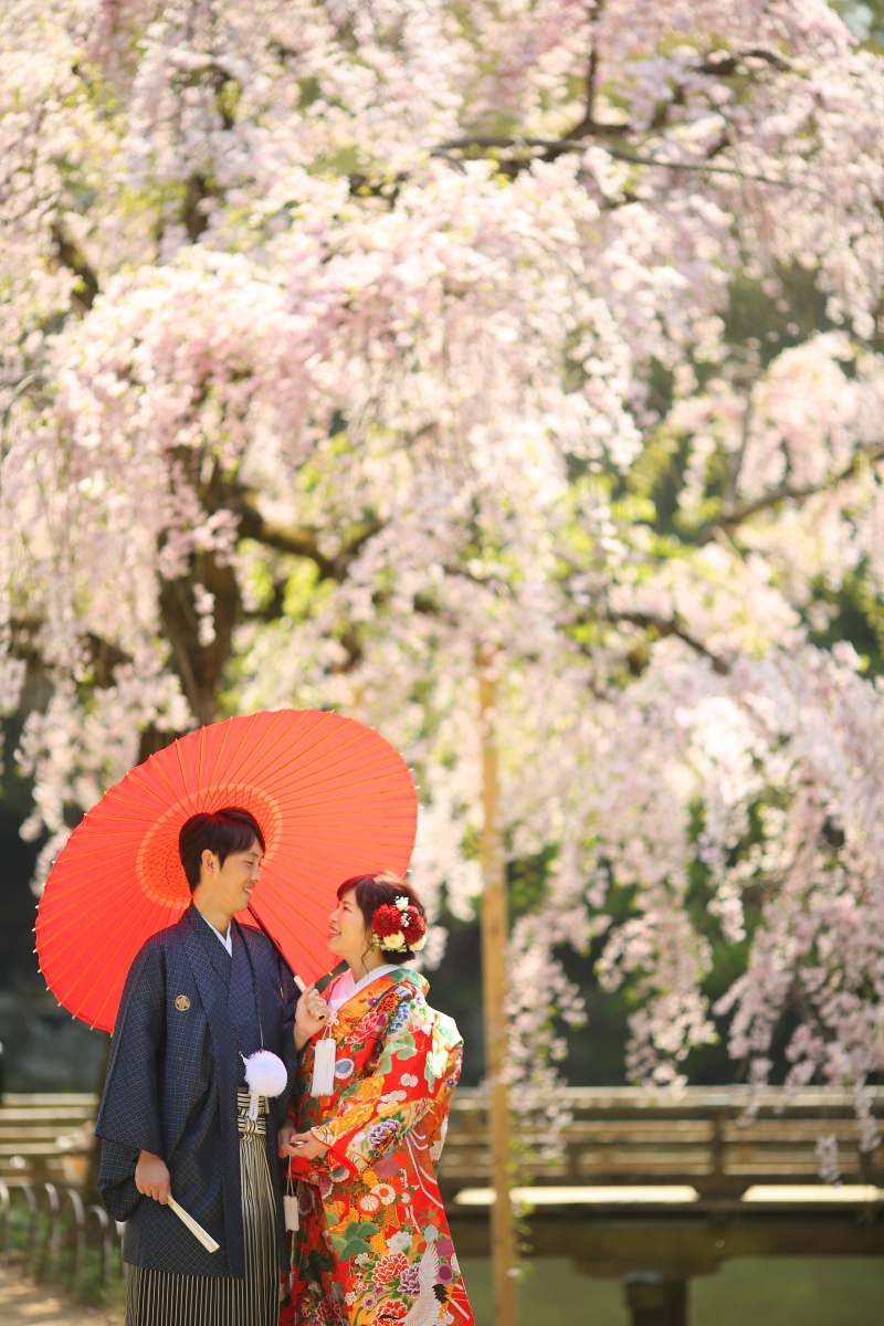 桜の前できれいに♪