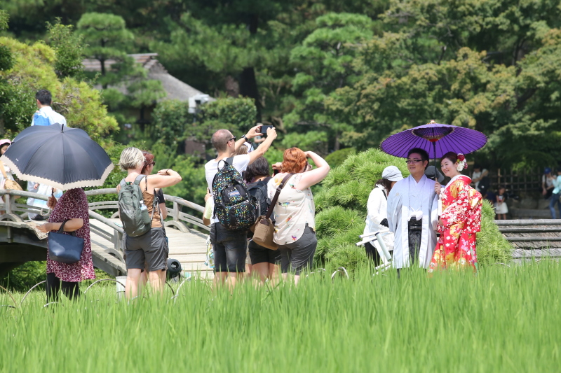 囲まれちゃった、、、