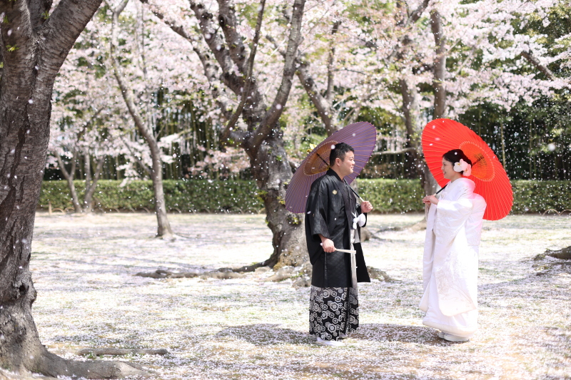 サクラ舞う木の下で