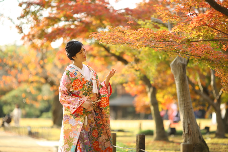 衣裳の種類が多い