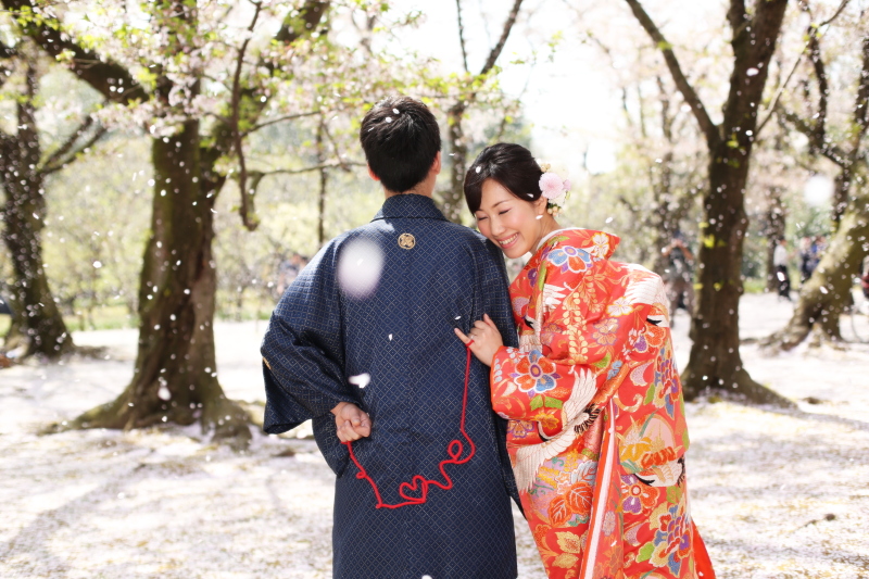 ちょうど桜吹雪に