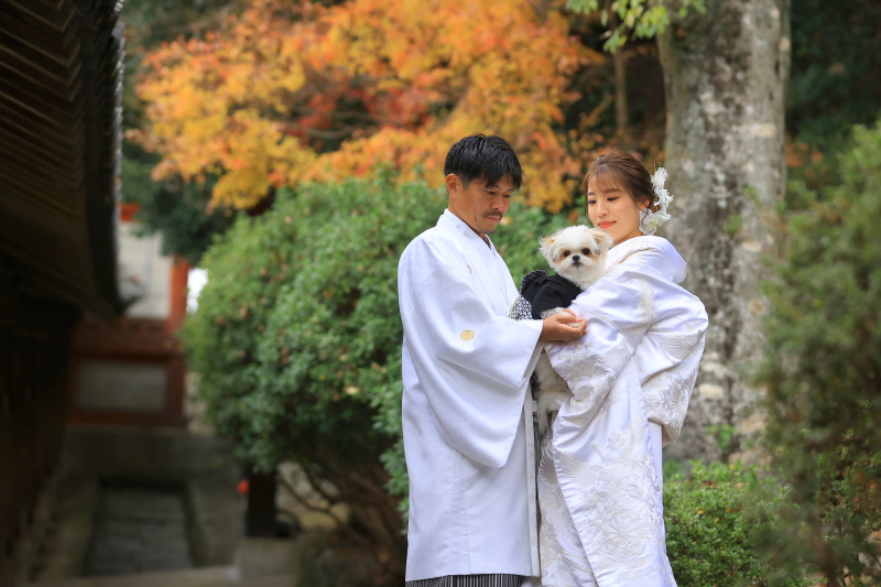 ペットが多めのご希望