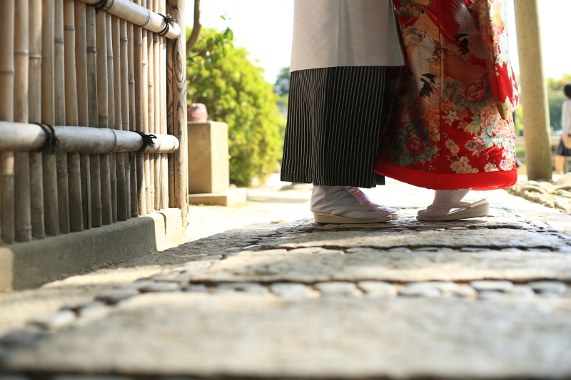 イメージカット