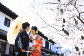 美観地区で桜ロケ★