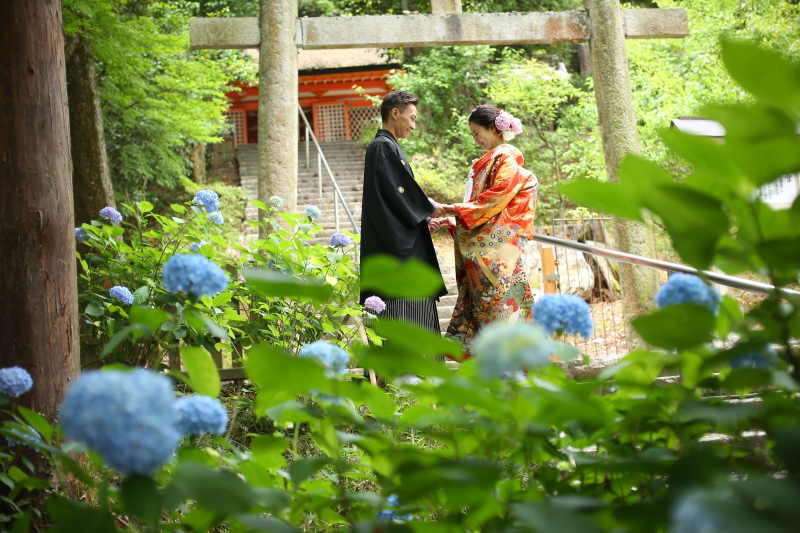 どこでも撮影してくれる!