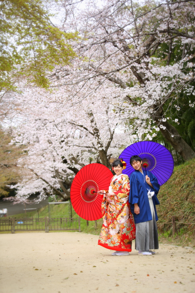 桜での撮影