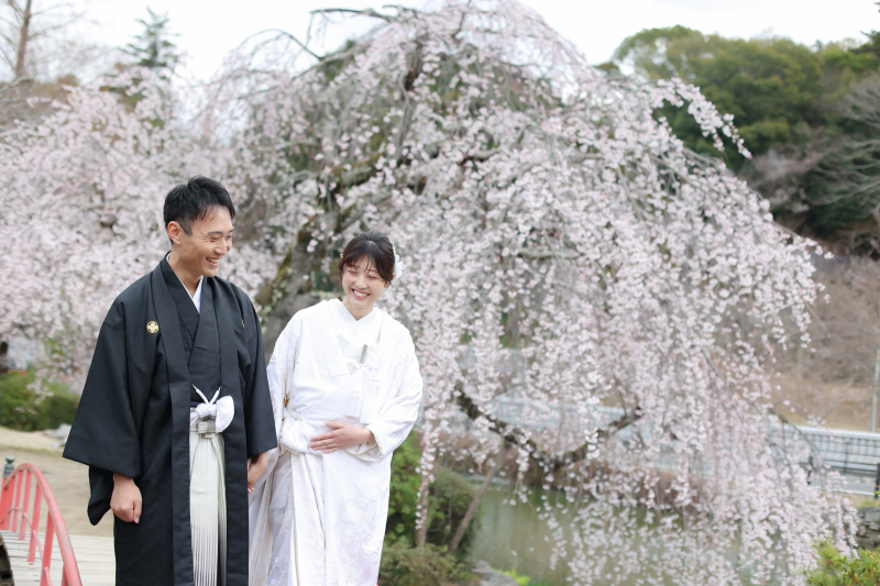とっても綺麗な桜と一緒に☆彡