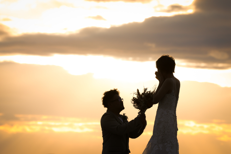 あの感動をもう一度！