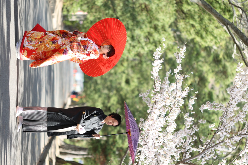 吉備津神社に向かう松並木