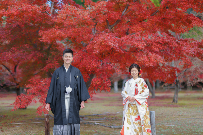 後悔なく撮影できました!