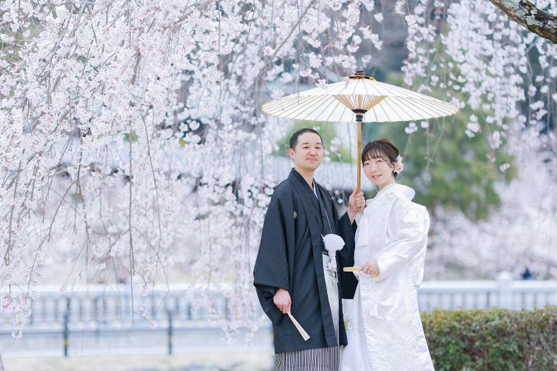 桜と一緒に