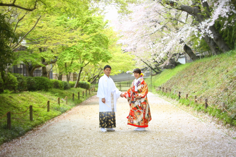 新緑と桜のコラボレーション