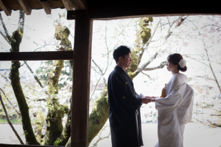 吉備津神社&times;桜ロケーション