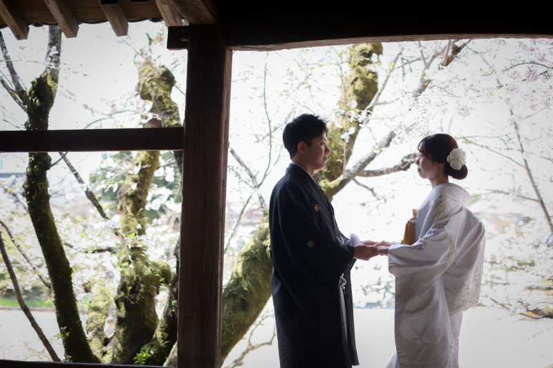 吉備津神社×桜ロケーション