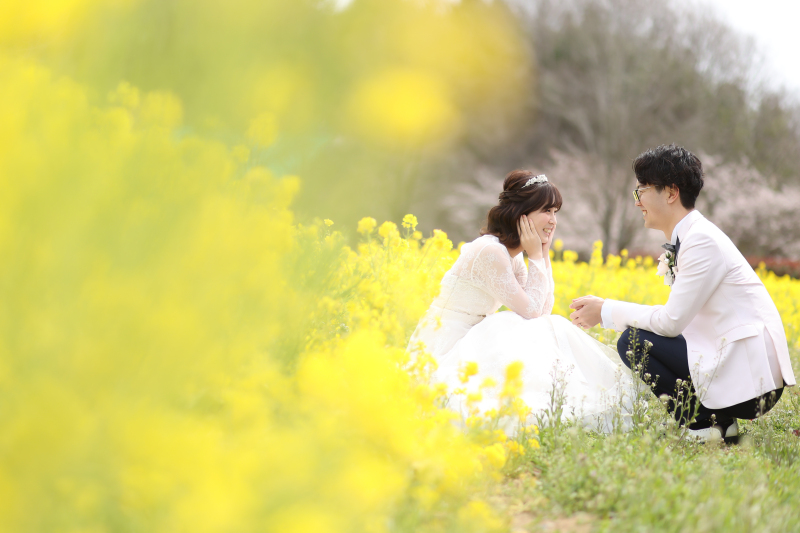 菜の花畑の中で