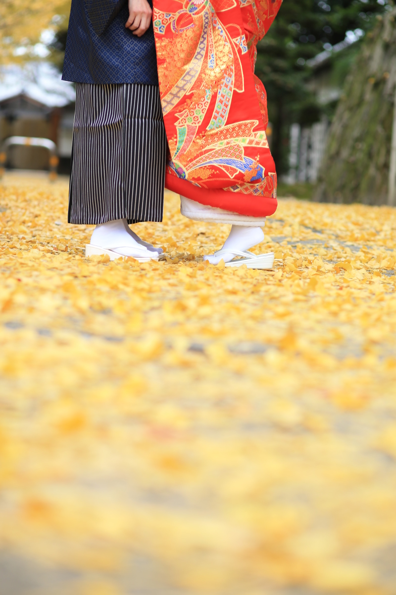 素敵なアルバムに