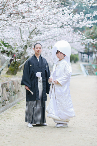 桜&times;白無垢