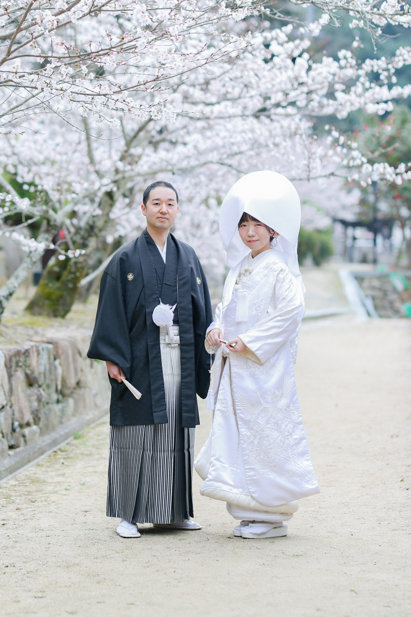 桜×白無垢