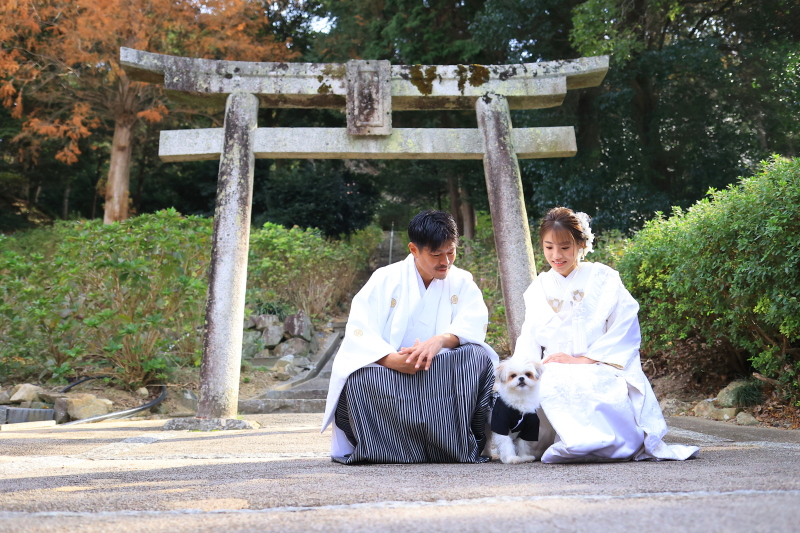 写真では大人しく見えます