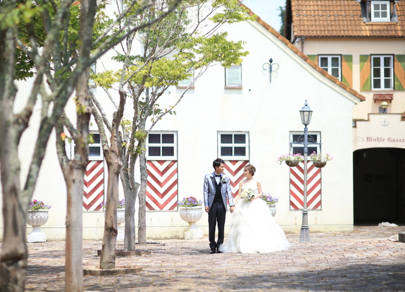 写真がとてもきれい!