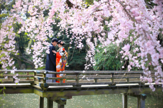 桜がまだあってよかった